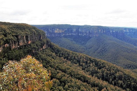 Blue Mountains - Accommodation Cooktown 3