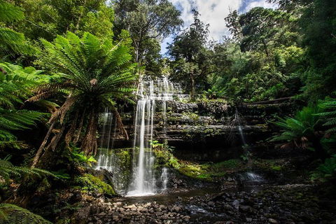 3-Day Tour To The Falls, Mountains, Lake & More Of West Coast Tasmania - Accommodation Cooktown 4