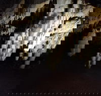 The Pinnacle Adventure Tour - Accommodation Cooktown