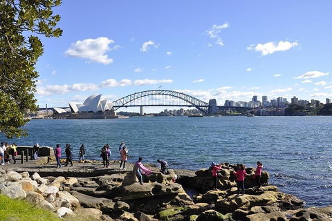 Sydney Sightseeing Bus Tours - Accommodation Cooktown 2
