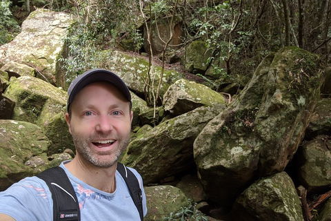 Australian Wildlife & Waterfalls Private Tour With 'Personalised Sydney Tours' - Accommodation Cooktown 4