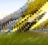 2-Day Private Daylesford  Macedon Ranges Gourmet Food Trail Tour from Melbourne - Accommodation Cooktown