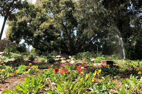 Discover Sydney - Botanic - Accommodation Cooktown 3