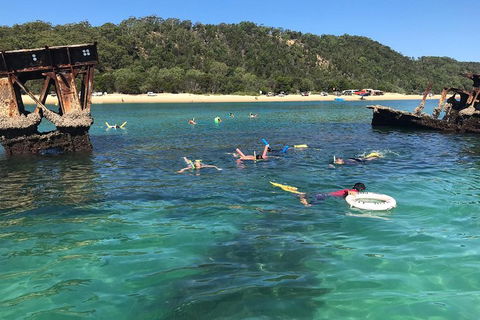 All Inclusive Dolphin And Tangalooma Wrecks Cruise - Accommodation Cooktown 0