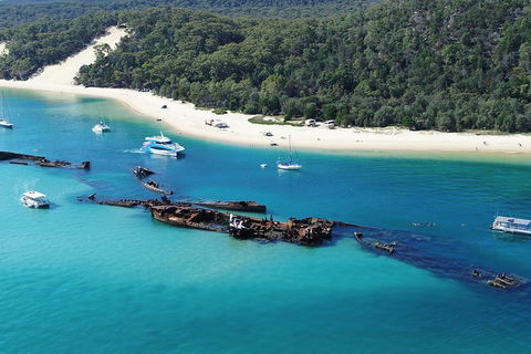 All Inclusive Dolphin And Tangalooma Wrecks Cruise - Accommodation Cooktown 4