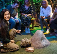 Sydney Taronga Zoo's Australian Animals Tour - Accommodation Cooktown