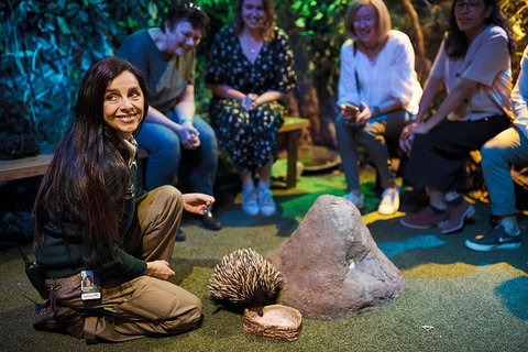 Sydney Taronga Zoo's Australian Animals Tour - Accommodation Cooktown 0
