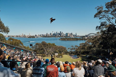 Sydney Taronga Zoo's Australian Animals Tour - Accommodation Cooktown 5