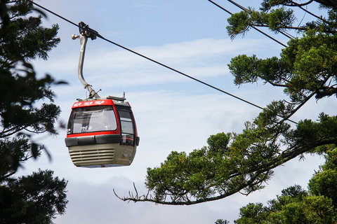 Sydney Taronga Zoo General Entry Ticket And Wild Australia Experience - Accommodation Cooktown 2