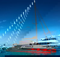Passions of Paradise Great Barrier Reef Snorkel and Dive Cruise from Cairns by Luxury Catamaran - Accommodation Cooktown