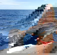 1/2 Day 5 Hour Offshore Fishing Charter - Accommodation Cooktown