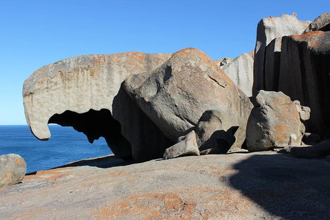 Kangaroo Island Personal Group Tours - Accommodation Cooktown 2