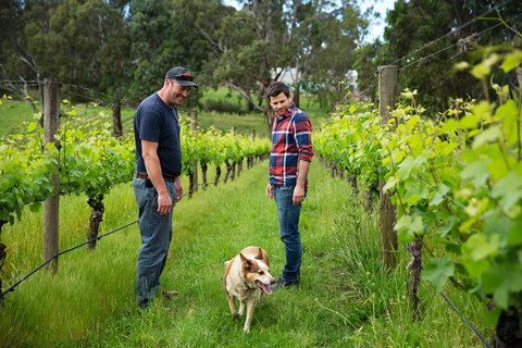 LGBT+ Friendly Full Day Yarra Valley & Dandenong Ranges Private Tour - Accommodation Cooktown 4