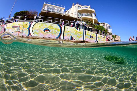 Bondi Like A Local: Half-Day Sightseeing Tour Including Surf Lesson - Accommodation Cooktown 4