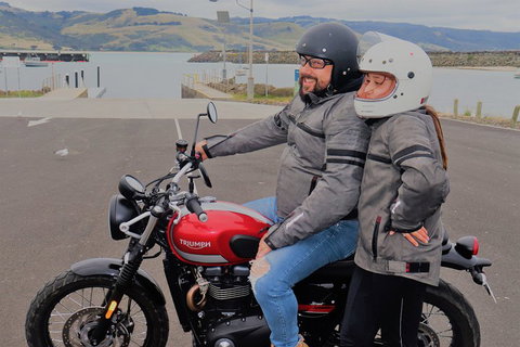 Triumph Street Scrambler 900cc - Accommodation Cooktown 1