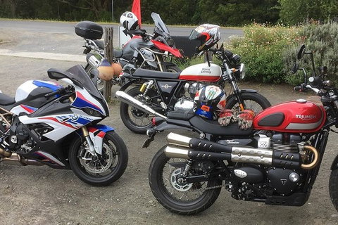 Triumph Street Scrambler 900cc - Accommodation Cooktown 4