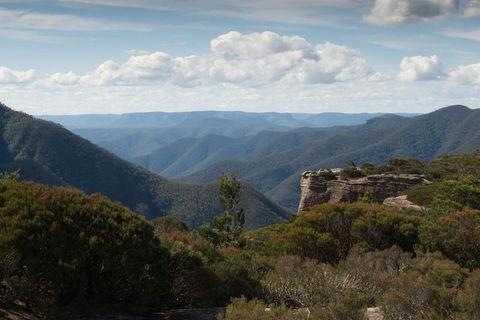 Inside The Greater Blue Mountains World Heritage - A Private Wildlife Safari Overnight - Accommodation Cooktown 5
