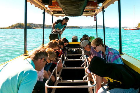 Airlie Beach Glass Bottom Boat Tour - Accommodation Cooktown 1