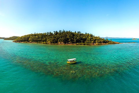Airlie Beach Glass Bottom Boat Tour - Accommodation Cooktown 3