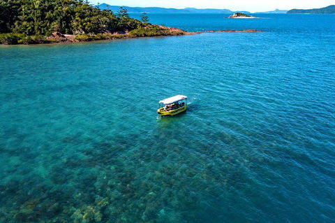 Airlie Beach Glass Bottom Boat Tour - Accommodation Cooktown 4
