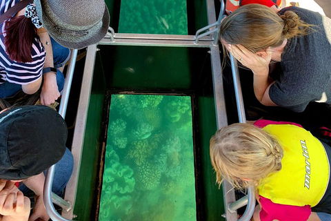 Airlie Beach Glass Bottom Boat Tour - Accommodation Cooktown 5