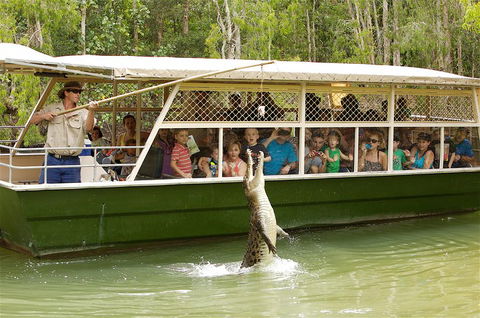 Hartley's Crocodile Adventure Half-Day Tour - Accommodation Cooktown 0