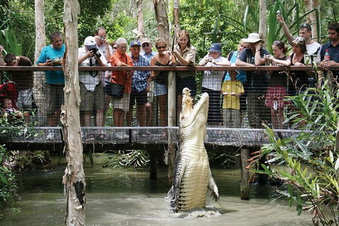Hartley's Crocodile Adventure Half-Day Tour - Accommodation Cooktown 1