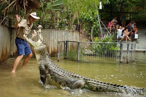 Hartley's Crocodile Adventure Half-Day Tour - Accommodation Cooktown 2