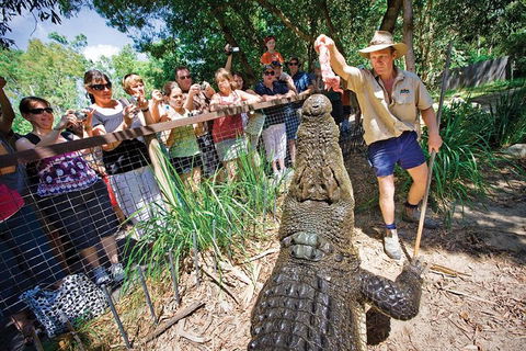 Hartley's Crocodile Adventure Half-Day Tour - Accommodation Cooktown 4
