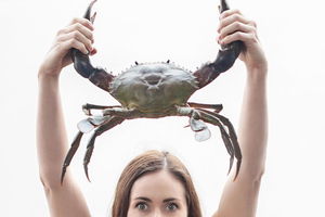 The Ultimate Gold Coast Attractions Pass