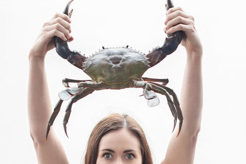 The Ultimate Gold Coast Attractions Pass - Accommodation Cooktown 0