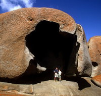 Full-Day Kangaroo Island Safari from Penneshaw - Accommodation Cooktown
