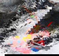 Barron Gorge National Park Half-Day White Water Rafting from Cairns or Port Douglas - Accommodation Cooktown