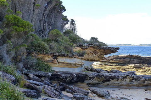 Day Trip To Cronulla & The Royal National Park - Accommodation Cooktown 4