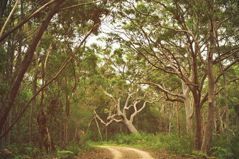 Day Trip To Cronulla & The Royal National Park - Accommodation Cooktown 5