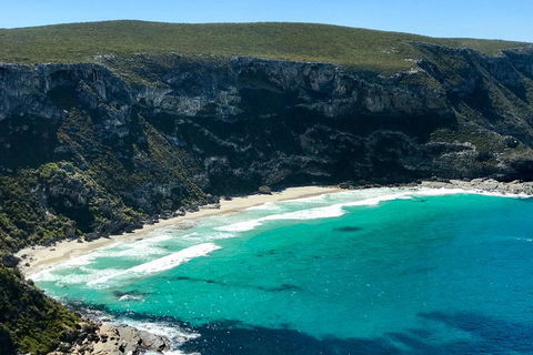 Kangaroo Island Scenic Trail Tour - Accommodation Cooktown 4