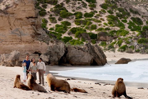 Kangaroo Island Scenic Trail Tour - Accommodation Cooktown 5