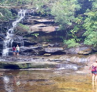 Central Coast Private Tour From Sydney with Australian Reptile Park Option - Accommodation Cooktown