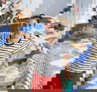 Pinnacles Desert Koalas and Sandboarding 4WD Day Tour from Perth - Accommodation Cooktown