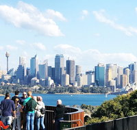 Sydney Harbour Ferry with Taronga Zoo Entry Ticket - Accommodation Cooktown