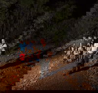 Alice Springs Desert Park Nocturnal Tour - Accommodation Cooktown