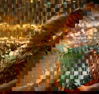 The Perth Mint Guided Heritage Tour and Gold Pour - Accommodation Cooktown