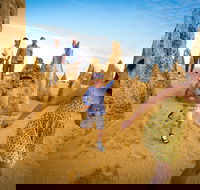 Full-Day Pinnacles Desert and Yanchep National Park Tour From Perth - Accommodation Cooktown