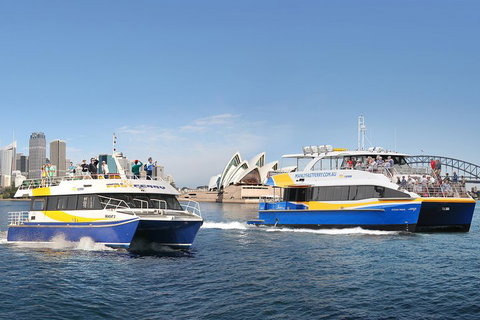 Go City | Sydney Explorer Pass With 20+ Attractions And Tours - Accommodation Cooktown 5