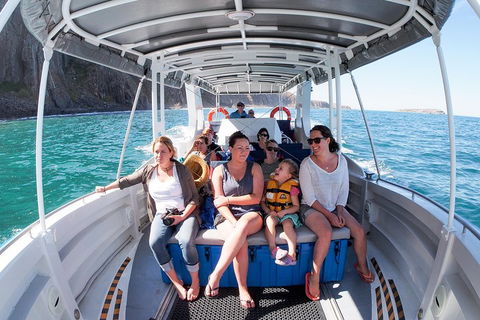 Seal Island Boat Tour From Victor Harbor - Accommodation Cooktown 1