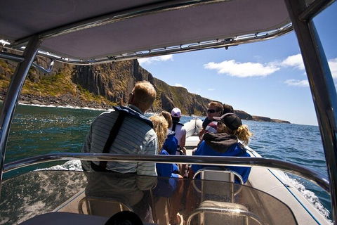 Seal Island Boat Tour From Victor Harbor - Accommodation Cooktown 2