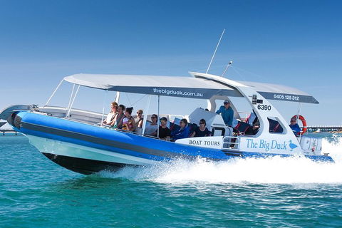 Seal Island Boat Tour From Victor Harbor - Accommodation Cooktown 3