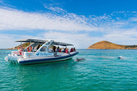 Southern Ocean Adventure From Victor Harbor - Accommodation Cooktown 1