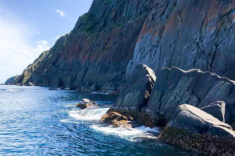 Southern Ocean Adventure From Victor Harbor - Accommodation Cooktown 3