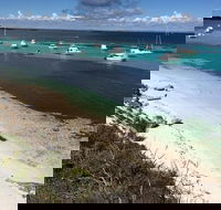 Experience Rottnest with Ferry  Bike Hire from Perth or Fremantle - Accommodation Cooktown